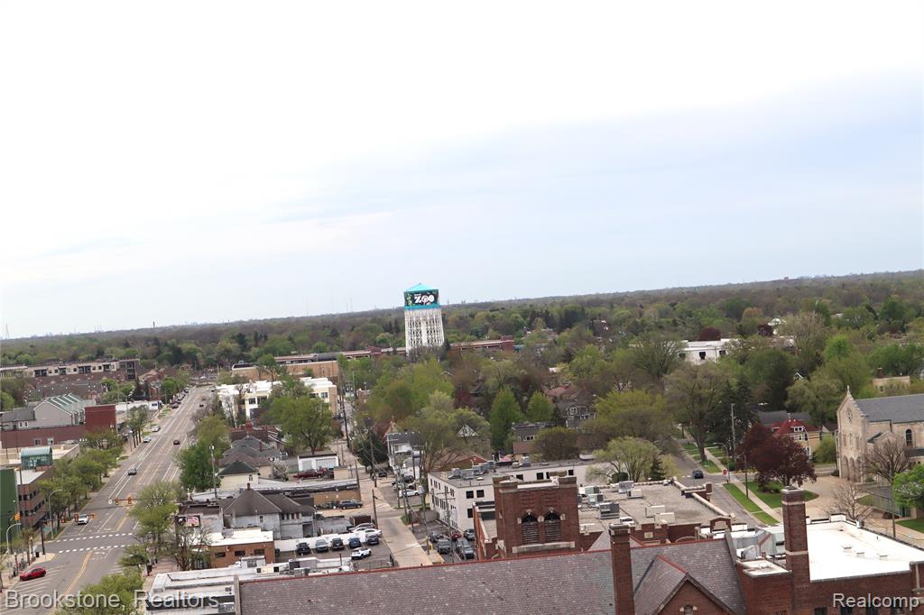 432 Washington Avenue, 1304, Royal Oak, MI 48067 — Photo 5