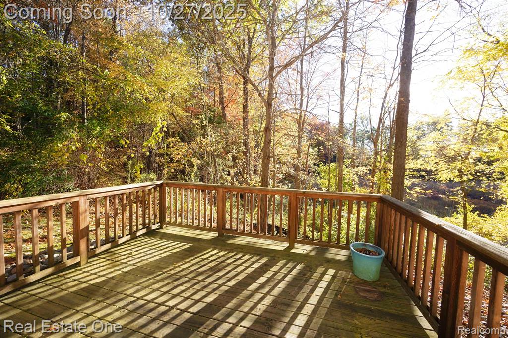 11426 Wolfort Spur, 41, Brighton, MI 48116 — Photo 11