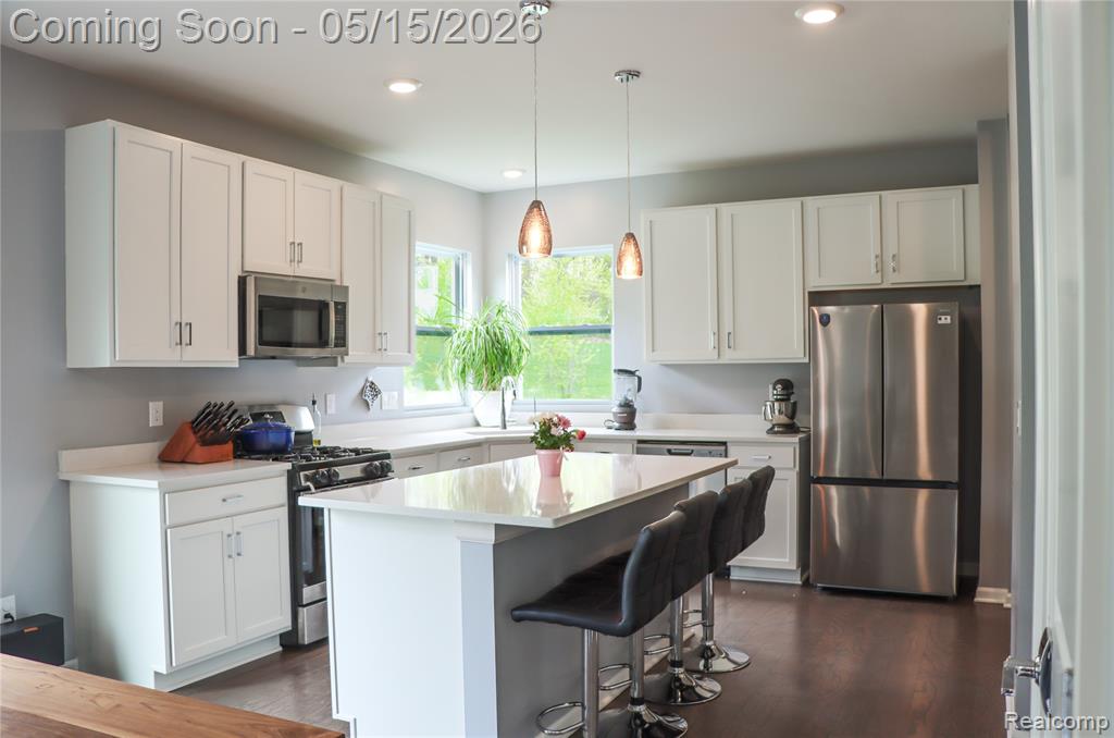 9650 Kylie Drive, Brighton, MI 48116 — Photo 8