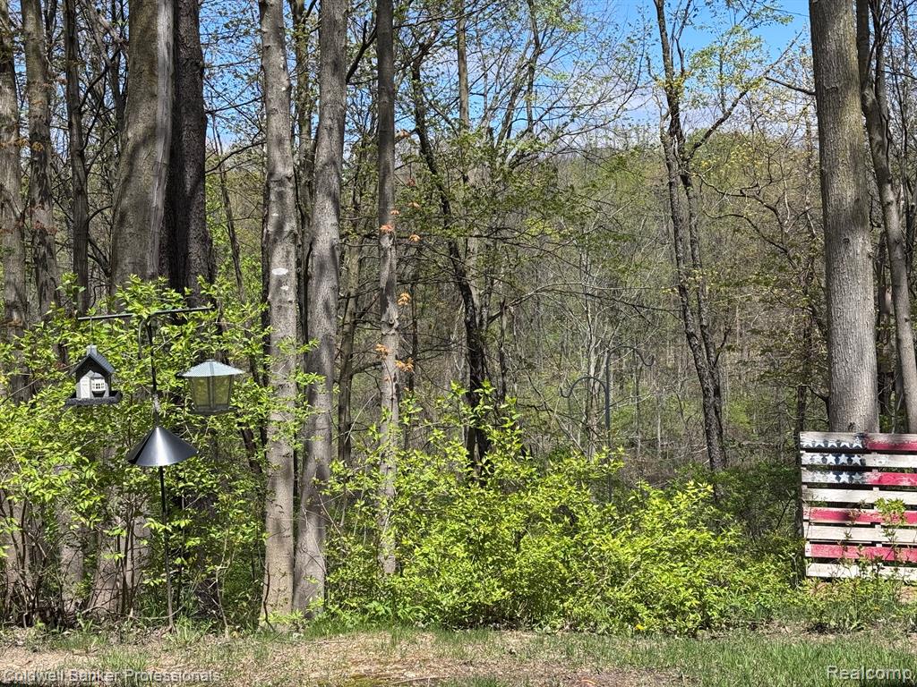98 FOX HOLLOW Drive, Metamora, MI 48455 — Photo 39