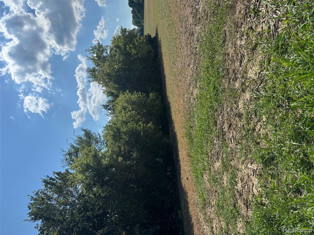 VL S Mill Road, Dryden, MI 48428 — Photo 7