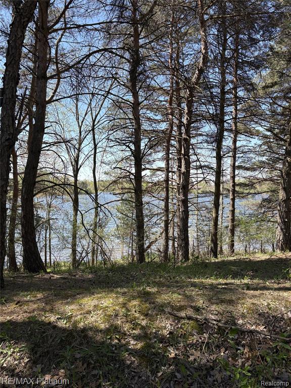 Parcel 3 Pineway Trail, Howell, MI 48855 — Photo 10