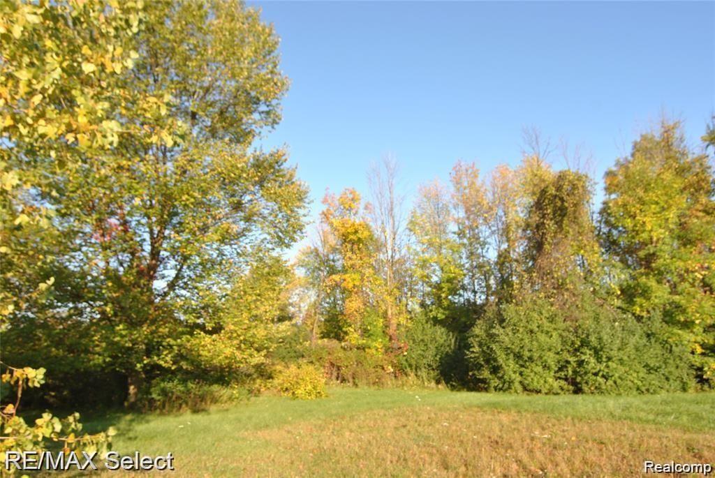6483 BAY, Saginaw, MI 48604 — Photo 11