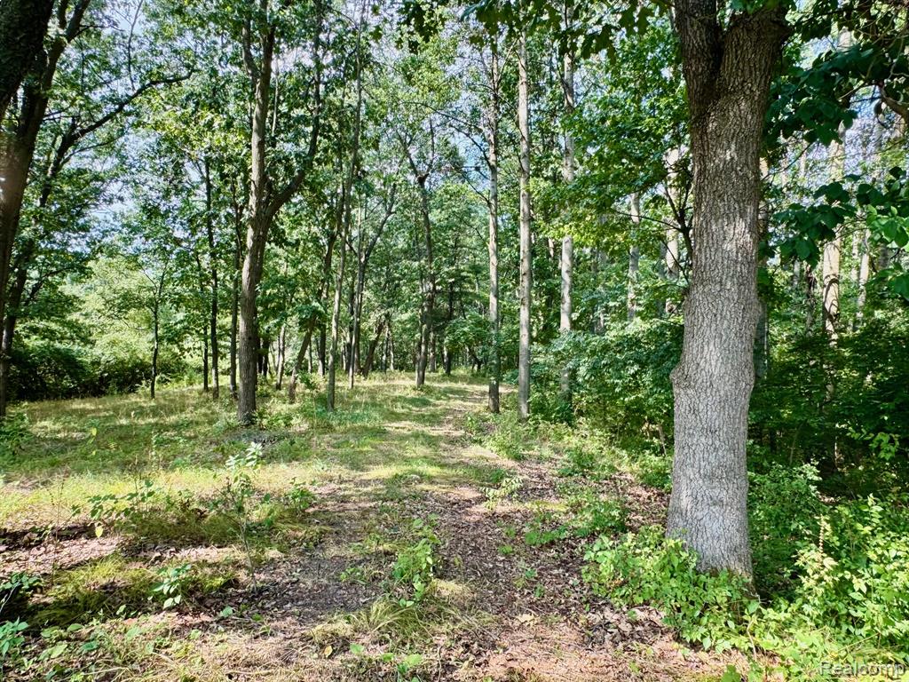 2250 E Dryden Road, Metamora, MI 48455 — Photo 72