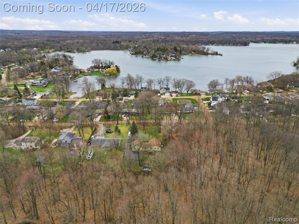 11430 Big Lake Road, Davisburg, MI 48350 — Photo 7