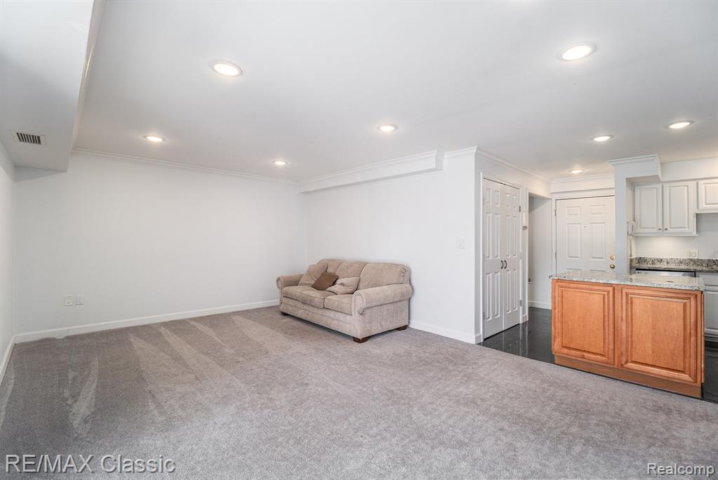770 DEER Street, 206, Plymouth, MI 48170 — Photo 12