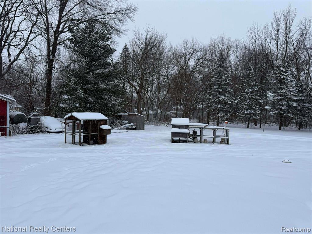 27125 Delos Road, New Boston, MI 48164 — Photo 14