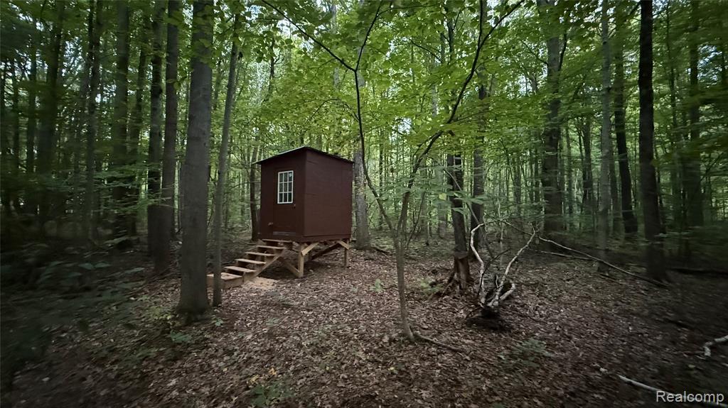 4528 N River Road, Clyde, MI 48049 — Photo 10