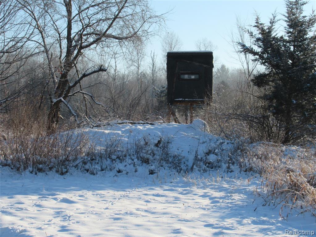 VACANT LAND S. PLAIN Road, Caro, MI 48723 — Photo 4
