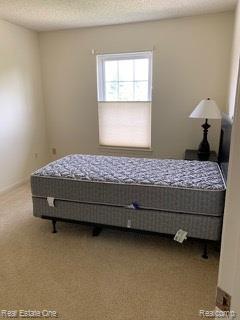 41719 Sleepy Hollow Drive, Novi, MI 48377 — Photo 29