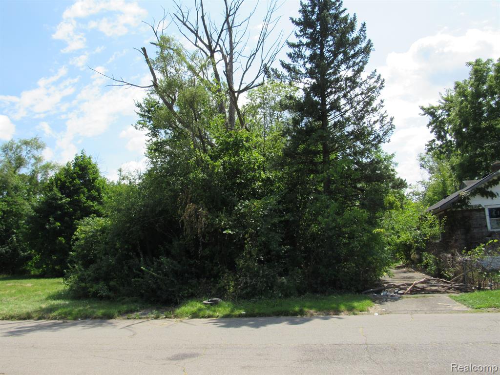 1051 Fernhill Street, Highland Park, MI 48203 — Photo 11