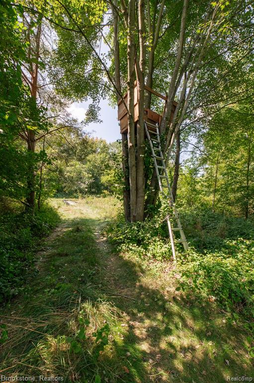 VL Sashabaw Road, Ortonville, MI 48462 — Photo 6