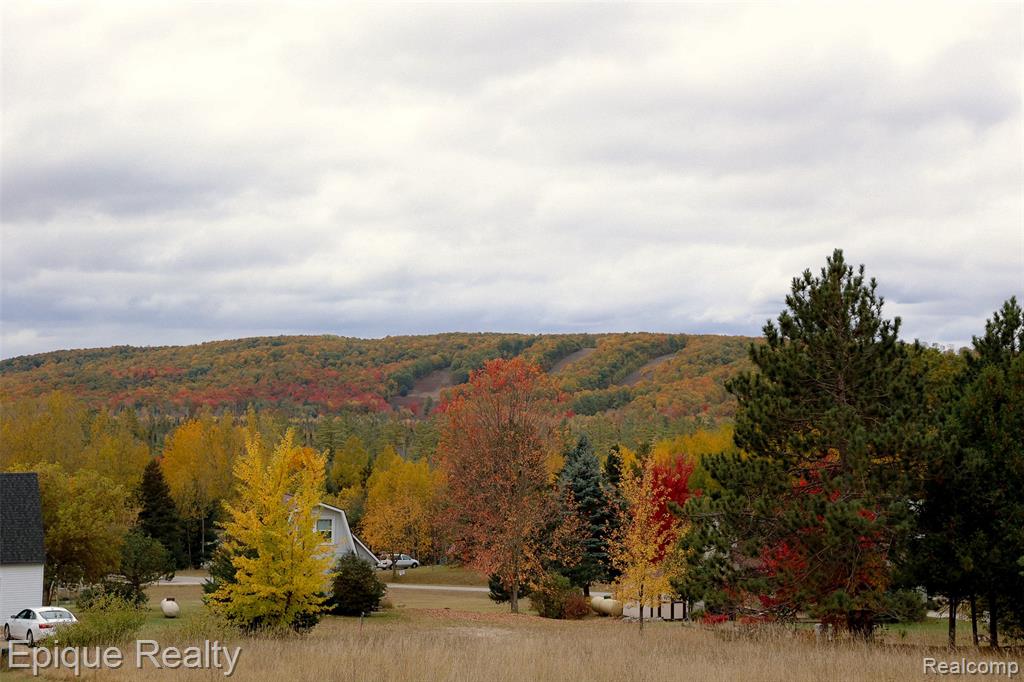 3353 Hill View, Boyne Falls, MI 49713 — Photo 33