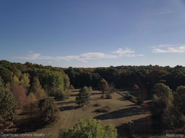 12749 Shaffer Road, Davisburg, MI 48350 — Photo 81