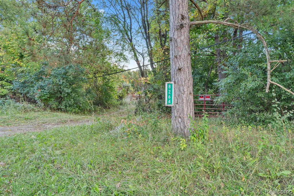 8264 Wilson Road, Otisville, MI 48463 — Photo 8