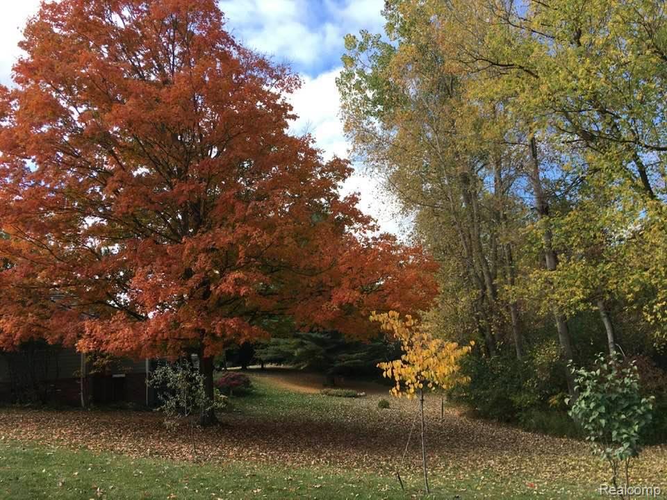 6218 Curtis Road, Plymouth, MI 48170 — Photo 40