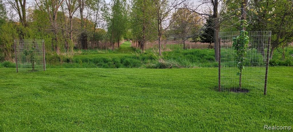 5785 Layton Road, Fowlerville, MI 48836 — Photo 43