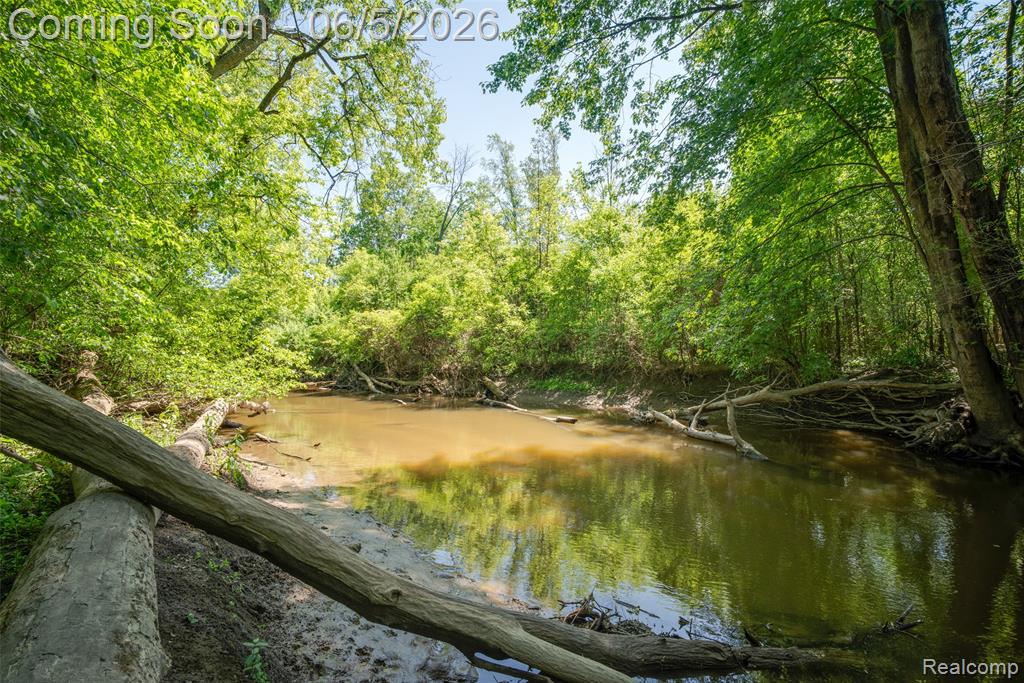 7016 Davison Road, Davison, MI 48423 — Photo 34