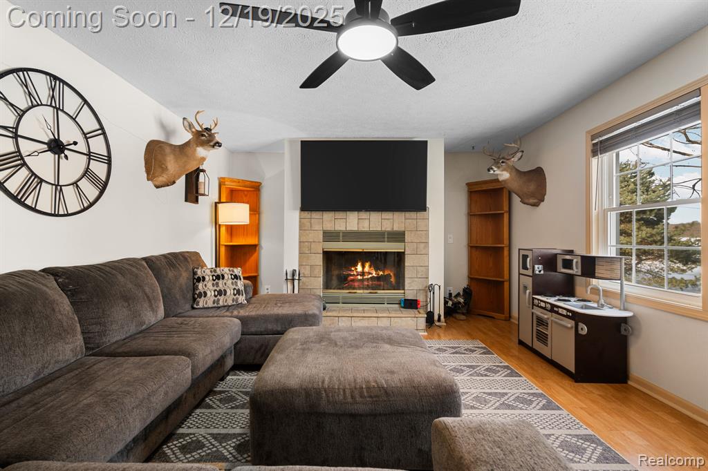 7097 Chase Lake Road W, Fowlerville, MI 48836 — Photo 7
