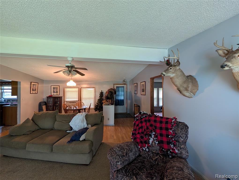 11175 S Morrice Road, Morrice, MI 48857 — Photo 12