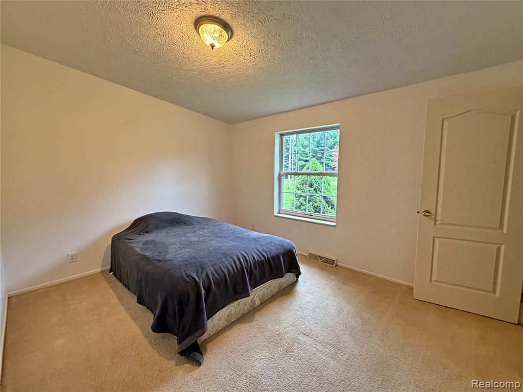 2801 Lackie Road, Filion, MI 48432 — Photo 11