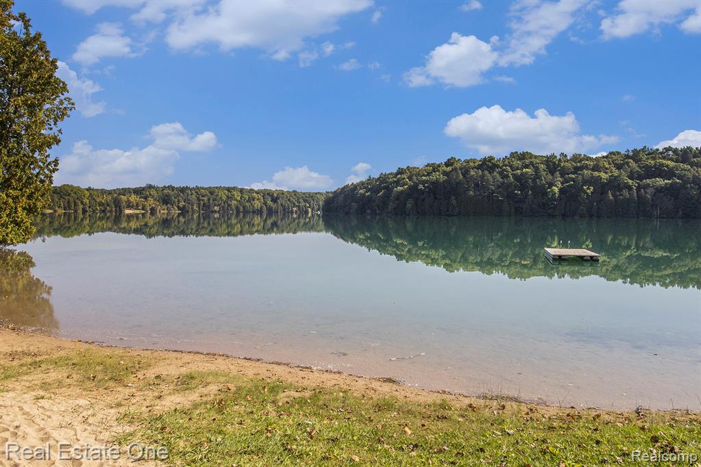 3125 N Tipsico Lake Road, Hartland, MI 48353 — Photo 49