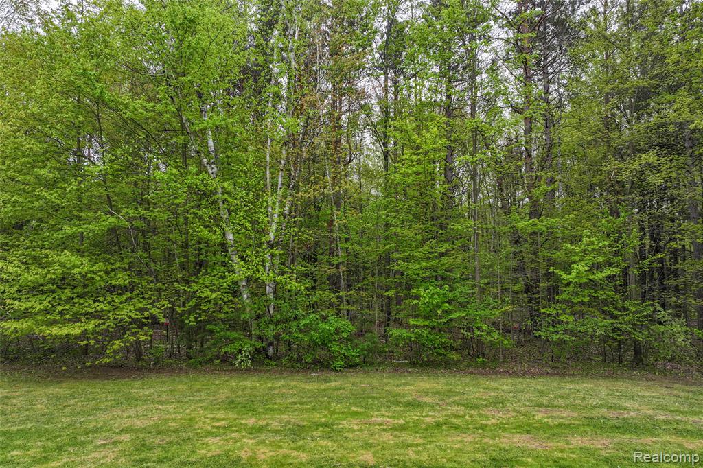 4587 Brown Road, Vassar, MI 48768 — Photo 15