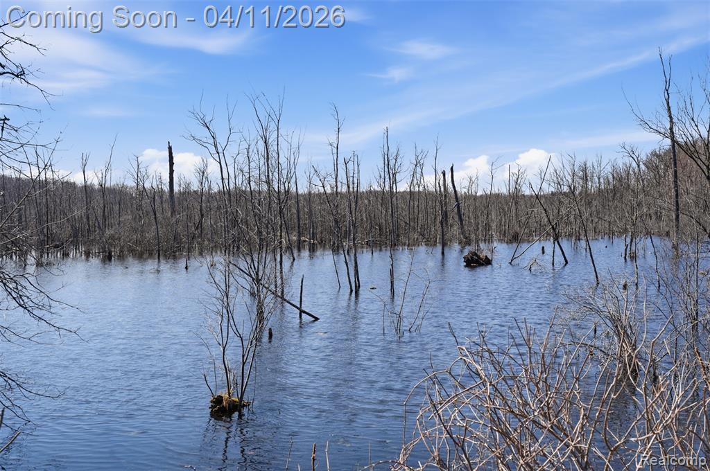8520 Pontiac Trail, South Lyon, MI 48178 — Photo 35
