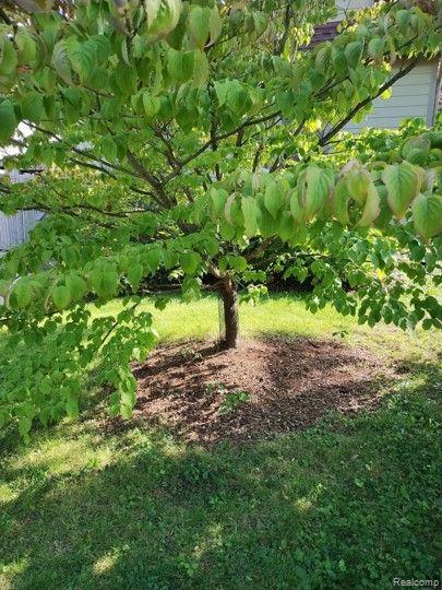 1407 CHARLTON Avenue, Ann Arbor, MI 48103 — Photo 35