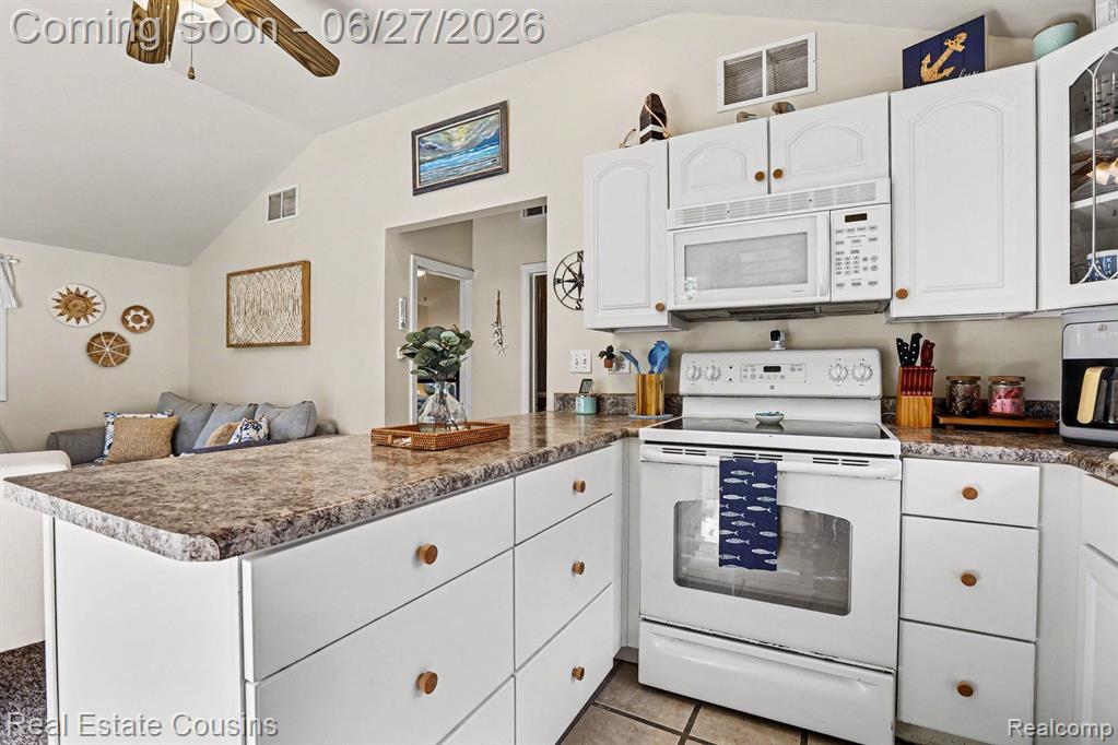 80 Locust Lane, Cadillac, MI 49601 — Photo 8