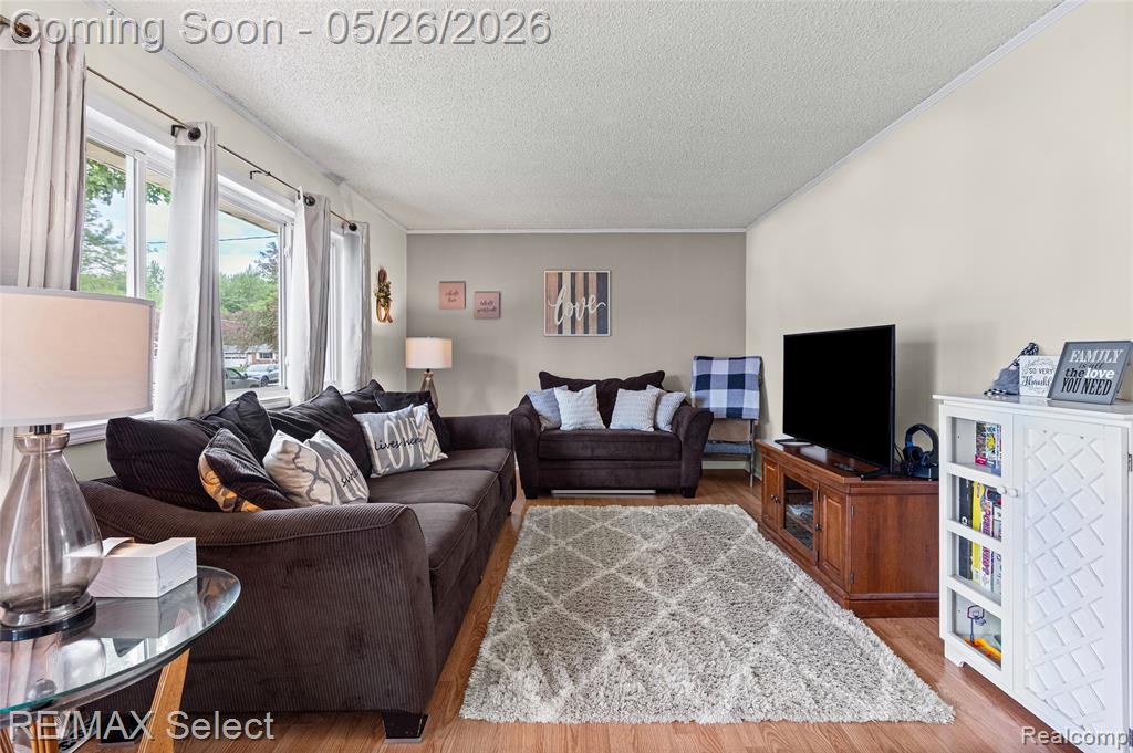 4353 Dixon Drive, Swartz Creek, MI 48473 — Photo 3