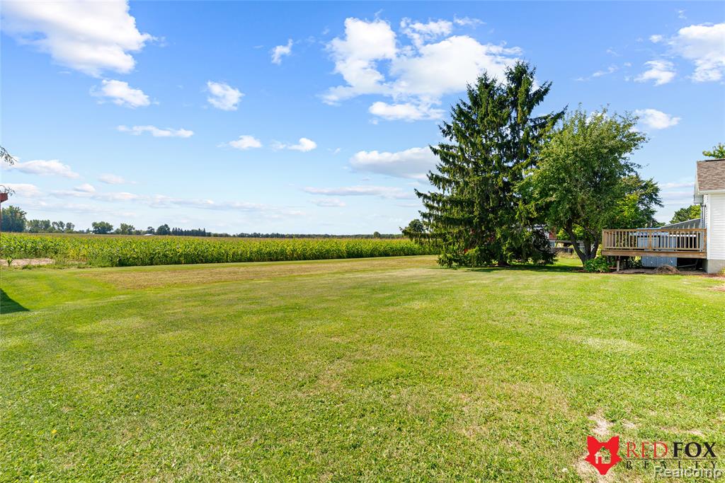 8110 Middleton Road, Corunna, MI 48817 — Photo 39