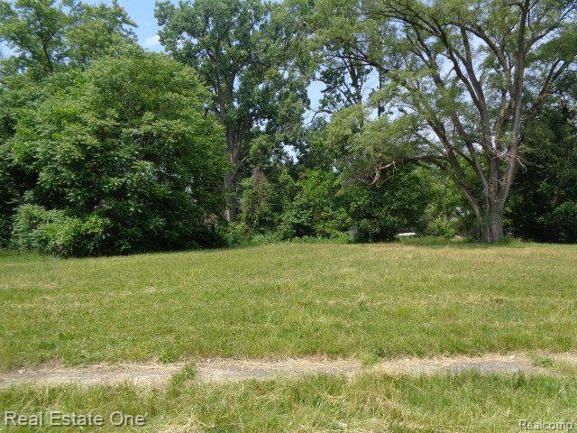 14605 DACOSTA Street, Detroit, MI 48223 — Photo 3
