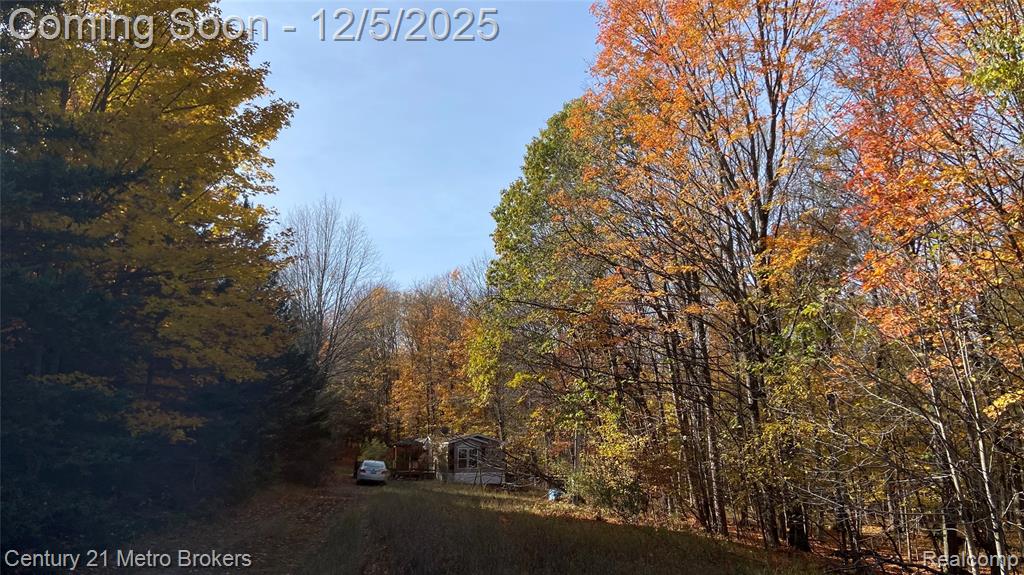 6705 N 45 1/2 Road, Manton, MI 49663 — Photo 22