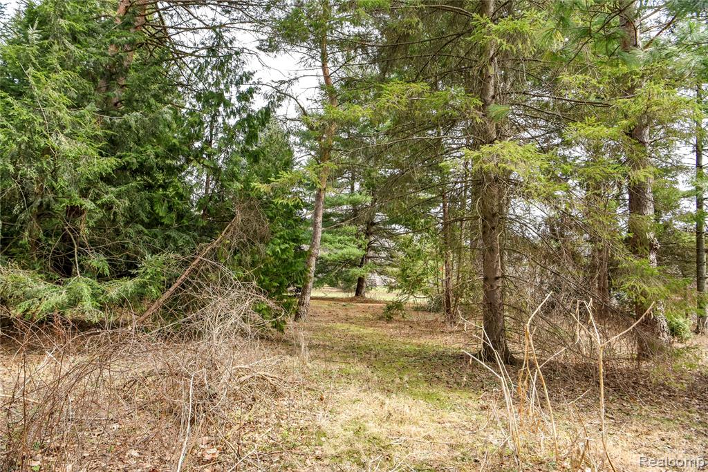 Lot 64 Merry Road, Waterford, MI 48328 — Photo 17