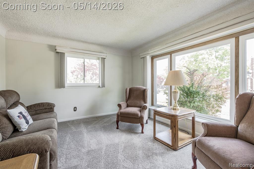 7190 Winona Avenue, Allen Park, MI 48101 — Photo 6