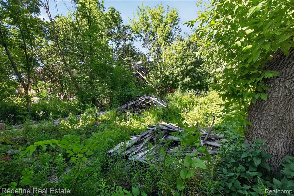 6029 Cooper Street, Detroit, MI 48213 — Photo 10