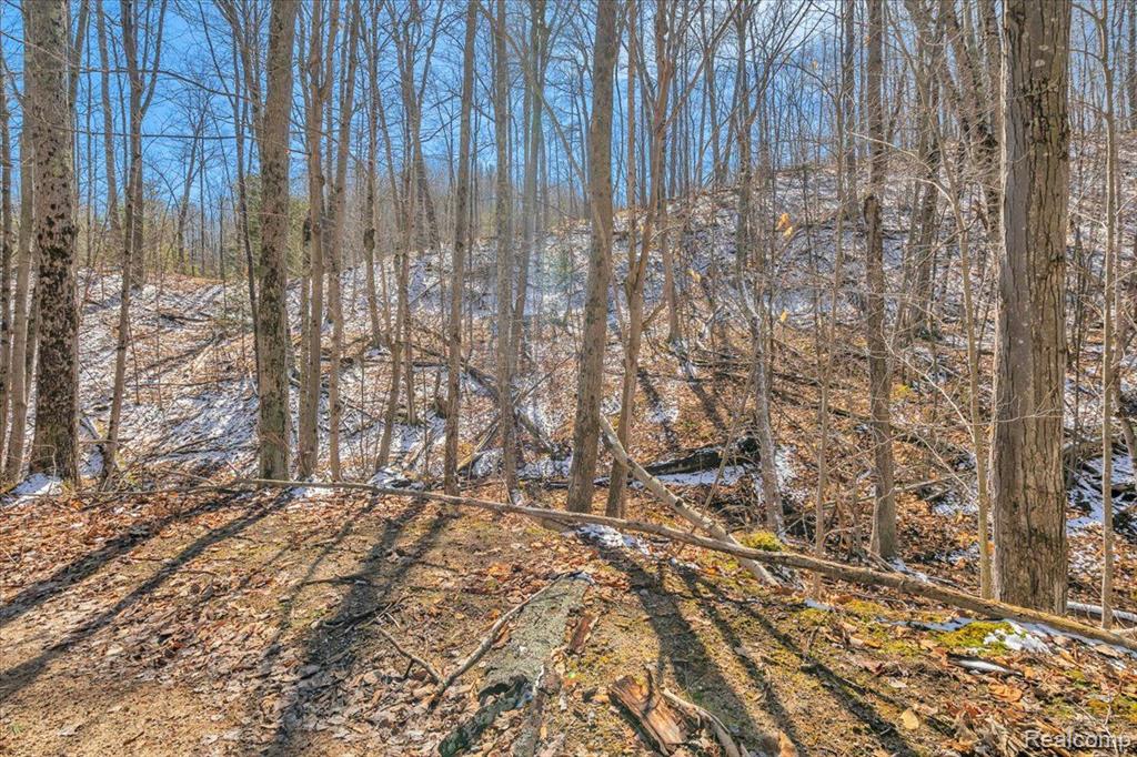 5300 E Alcona Road, Harrisville, MI 48740 — Photo 45