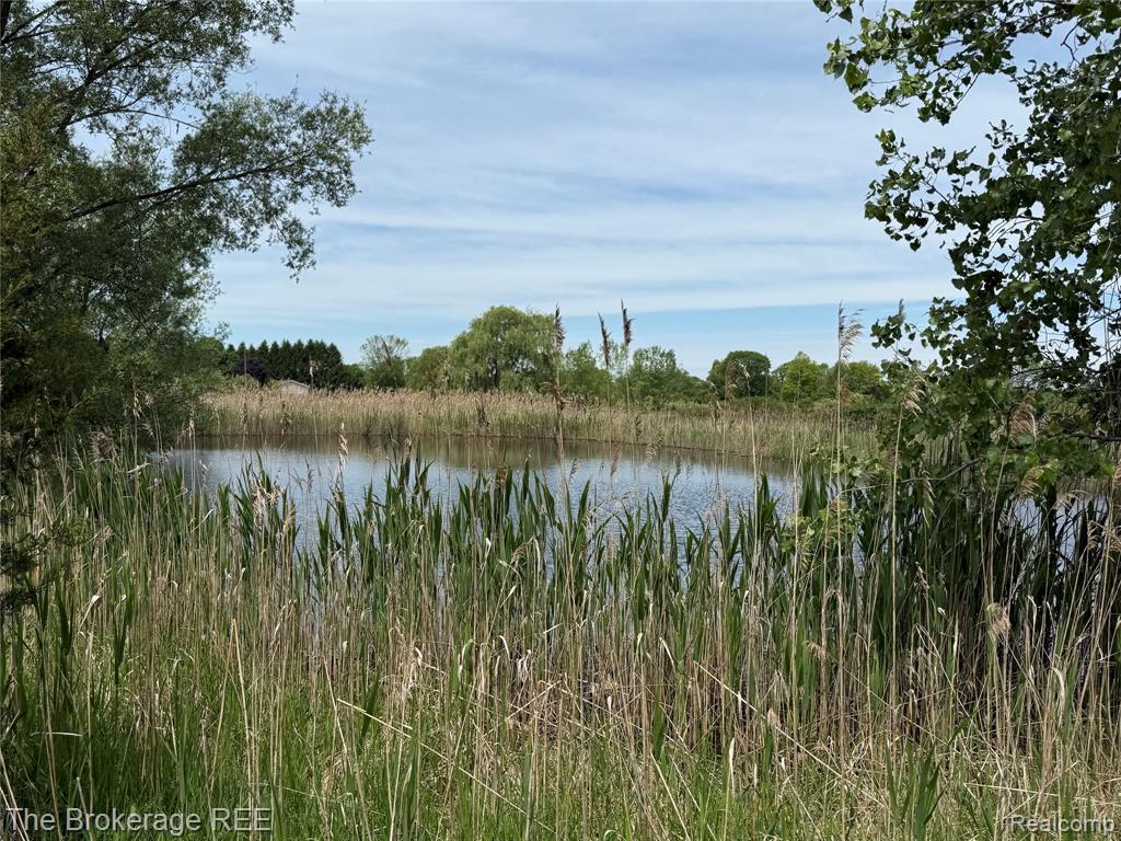 3020 Merwin Road, Lapeer, MI, 48446