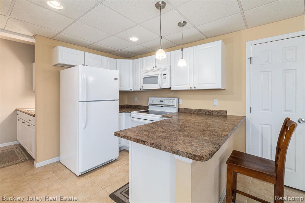 8537 SADDLEWOOD Drive, Brighton, MI 48116 — Photo 20