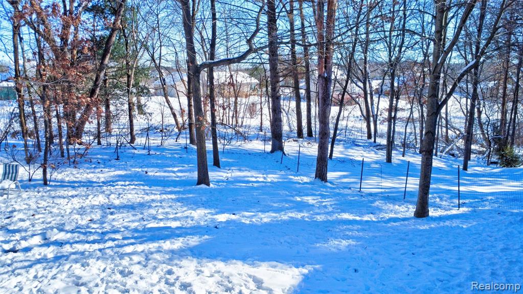9619 Tree Top Court, Pinckney, MI, 48169