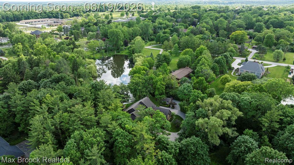 40360 Harmony Lane, Northville, MI 48167 — Photo 87