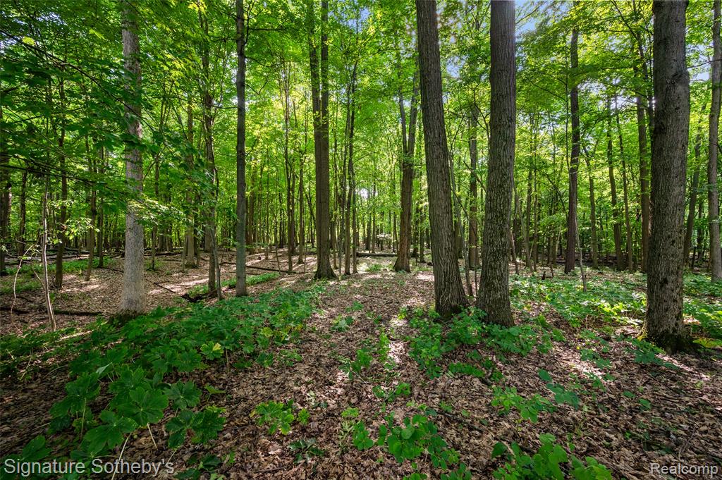 3915 McGinnis Road, Holly, MI 48442 — Photo 28