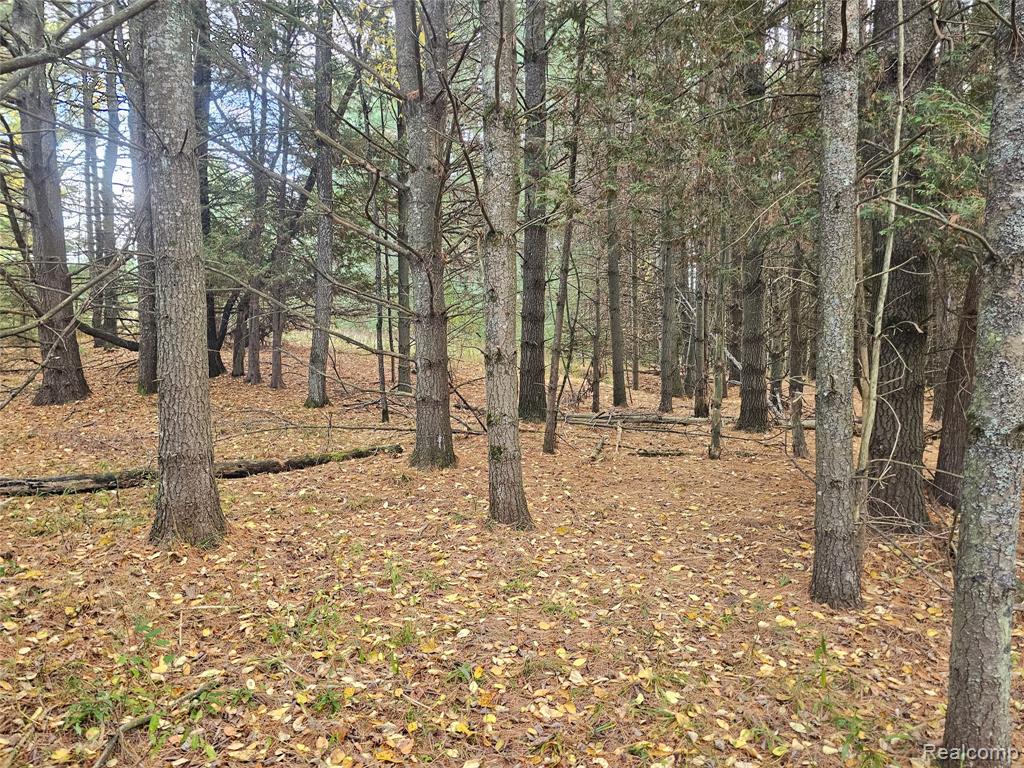 4901 M-55, Tawas City, MI 48763 — Photo 19