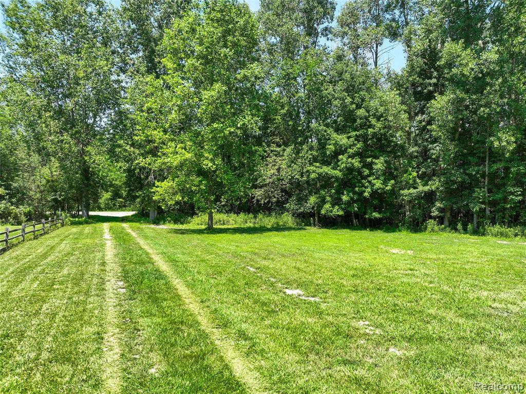 Vacant Land Nicholson Rd, Handy, MI 48836 — Photo 2