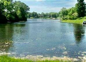 10418 KING Road, Davisburg, MI — Photo 24