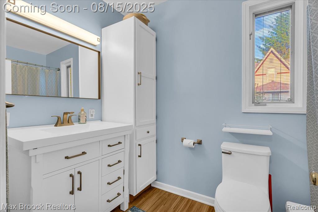 415 W Lake Street, South Lyon, MI 48178 — Photo 14