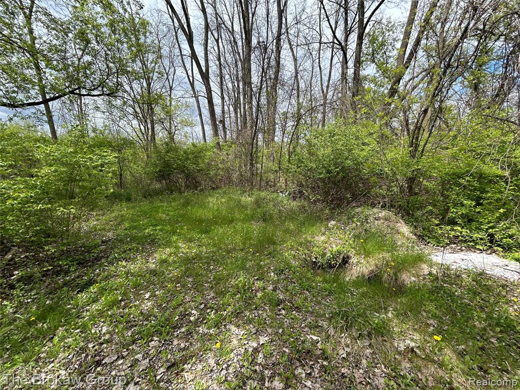 6120 Kelly Road, Flushing, MI 48433 — Photo 6