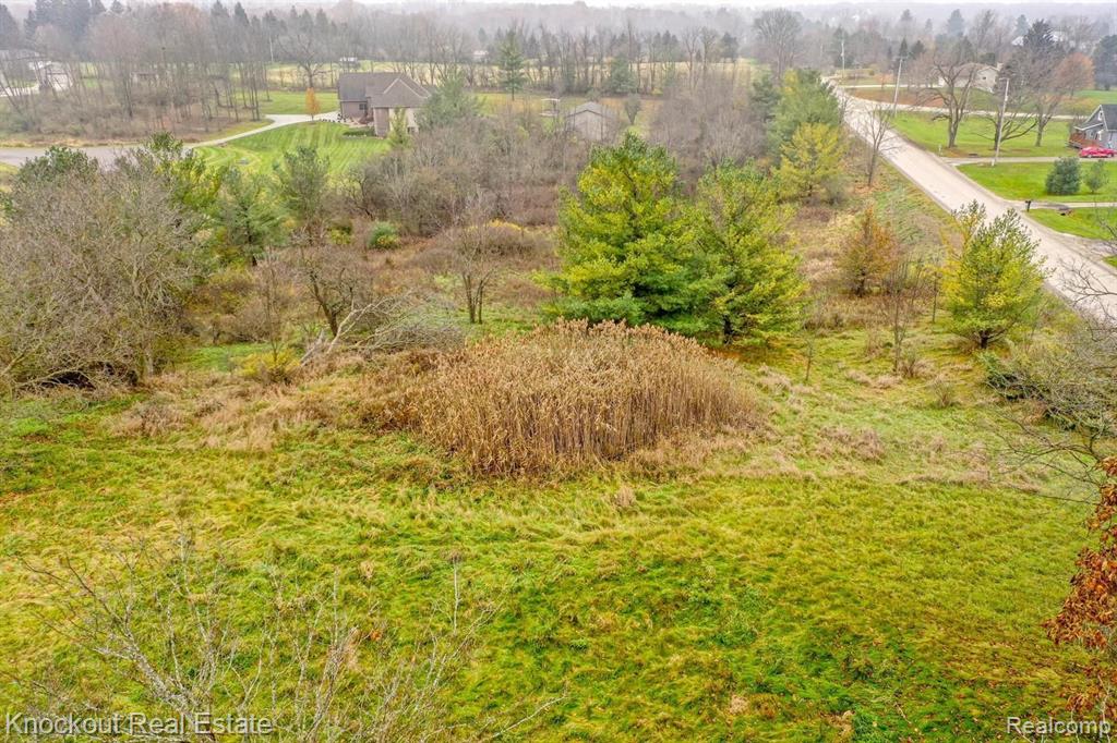 9338 ORCHARD VALLEY LANE, Davison, MI 48423 — Photo 16