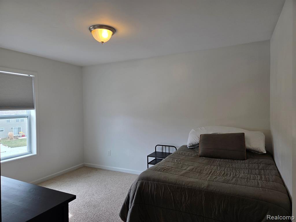 376 VENTURA, Howell, MI 48855 — Photo 15